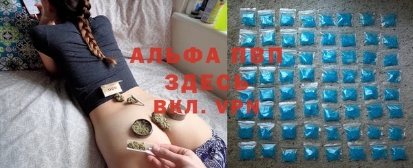 эйфоретик Арсеньев