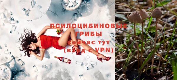 соль ск Аркадак