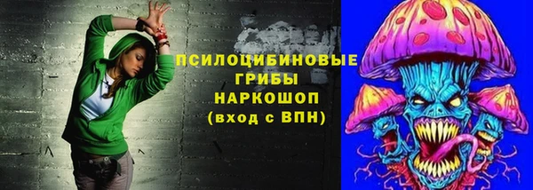соль ск Аркадак