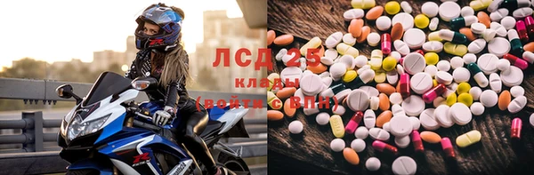 эйфоретик Арсеньев